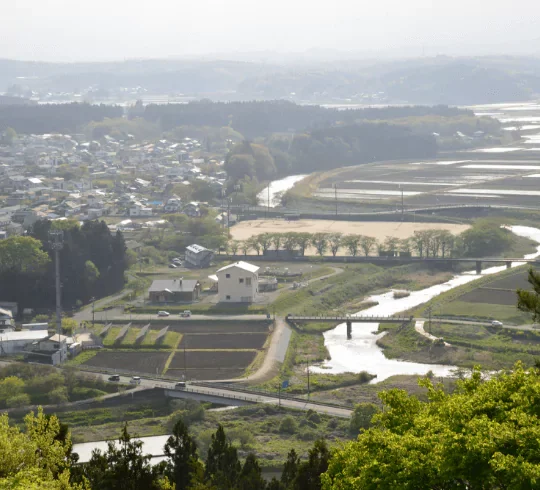 地元でしか手に入らない産直菌床生しいたけ